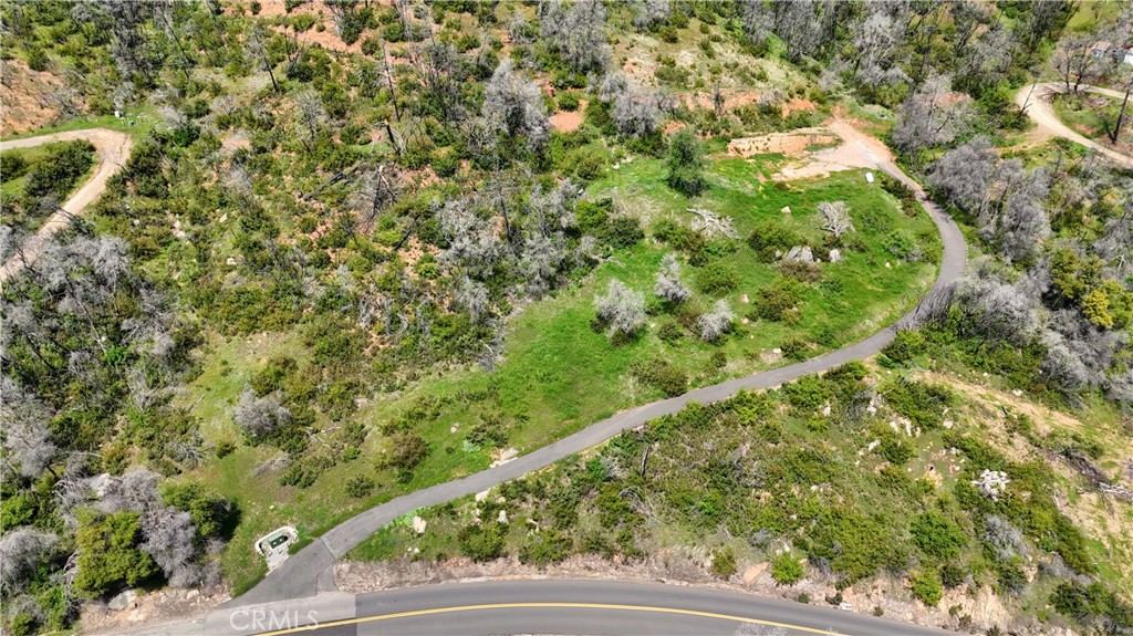 4632 Triangle Road Mariposa, CA 95338 - Photo 7 of 26 a view of a green yard