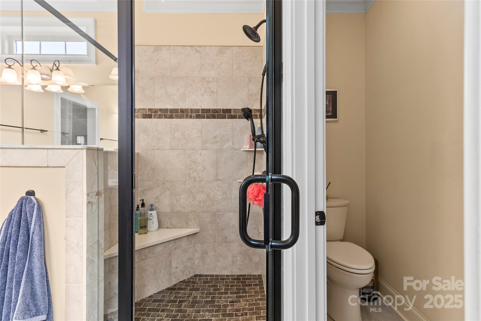 6197 Gold Springs Way Denver, NC 28037 - Photo 22 of 47 a bathroom with a toilet and a shower