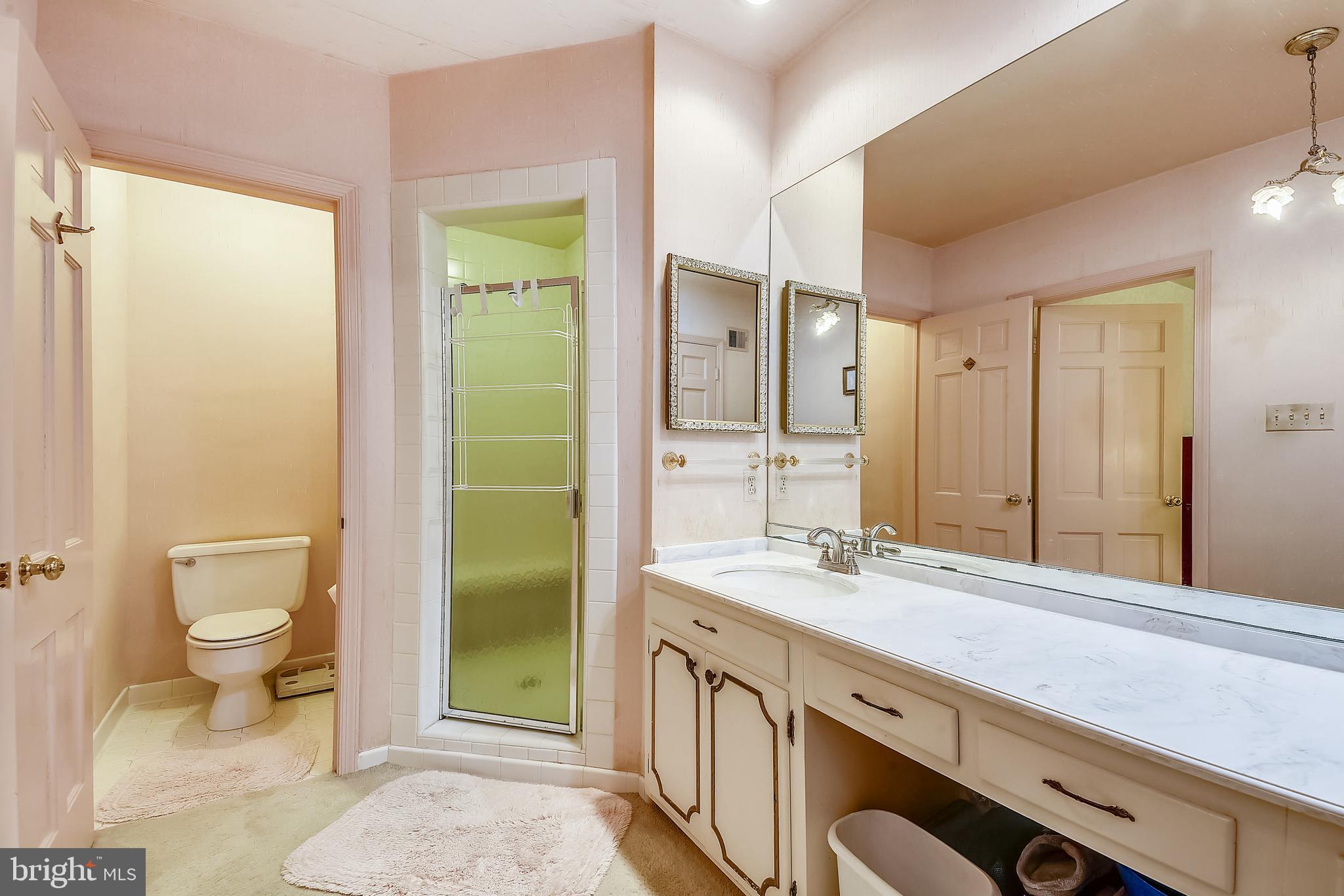 7200 Nevis Road Bethesda, MD 20817 - Photo 23 of 50 Large Master Bathroom
