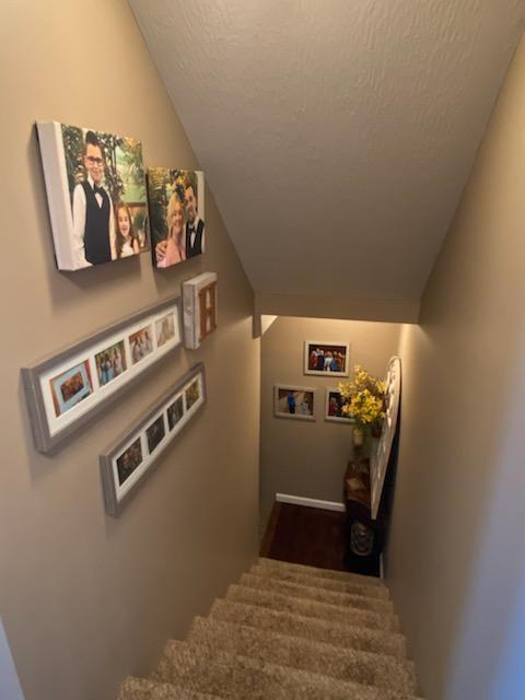 1695 Flatwoods Road Nancy, KY 42544 - Photo 35 of 46 20