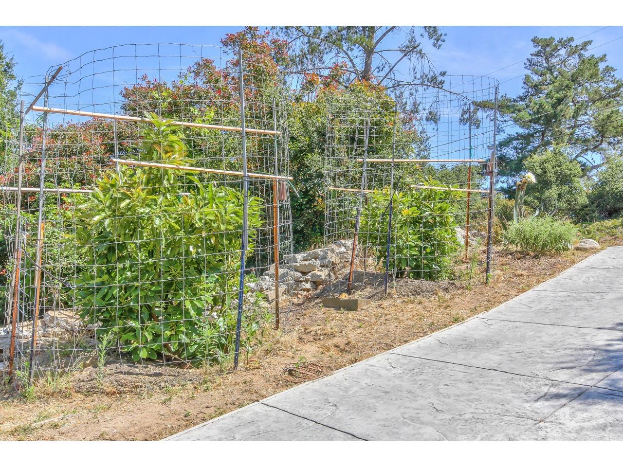 17852 Berta Canyon Road Salinas, CA 93907 - Photo 4 of 28 Gallery Image 4
