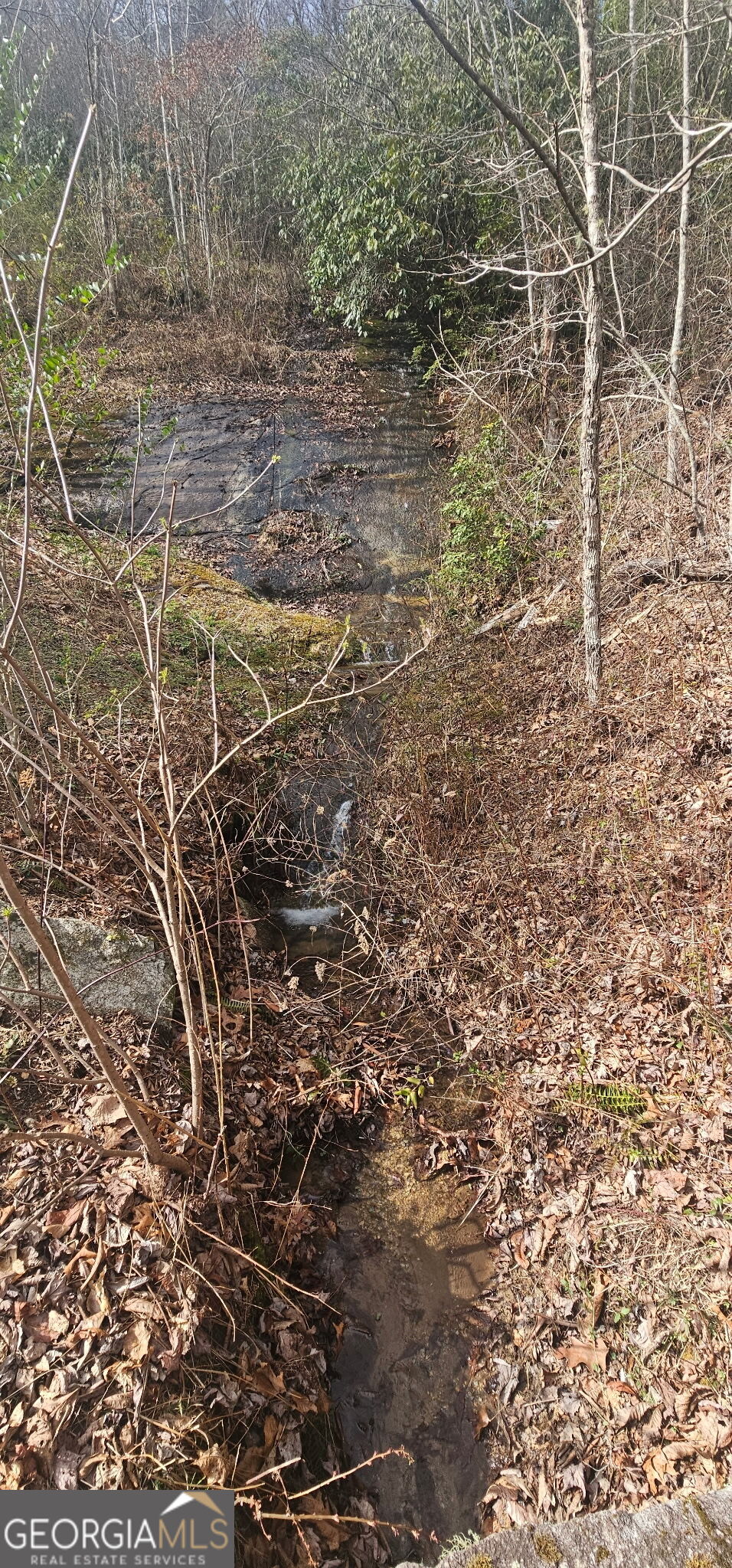 6159 Wolffork Road Rabun Gap, GA 30568 - Photo 11 of 16