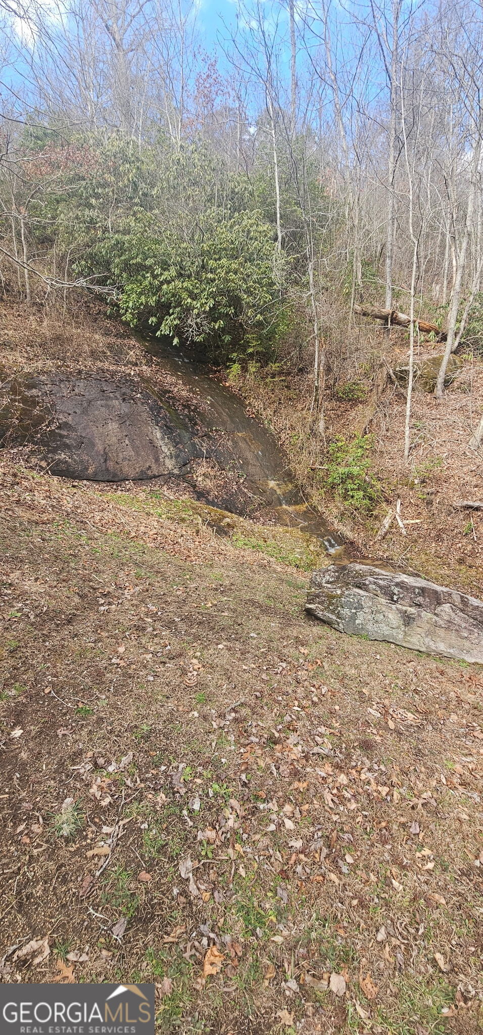 6159 Wolffork Road Rabun Gap, GA 30568 - Photo 12 of 16