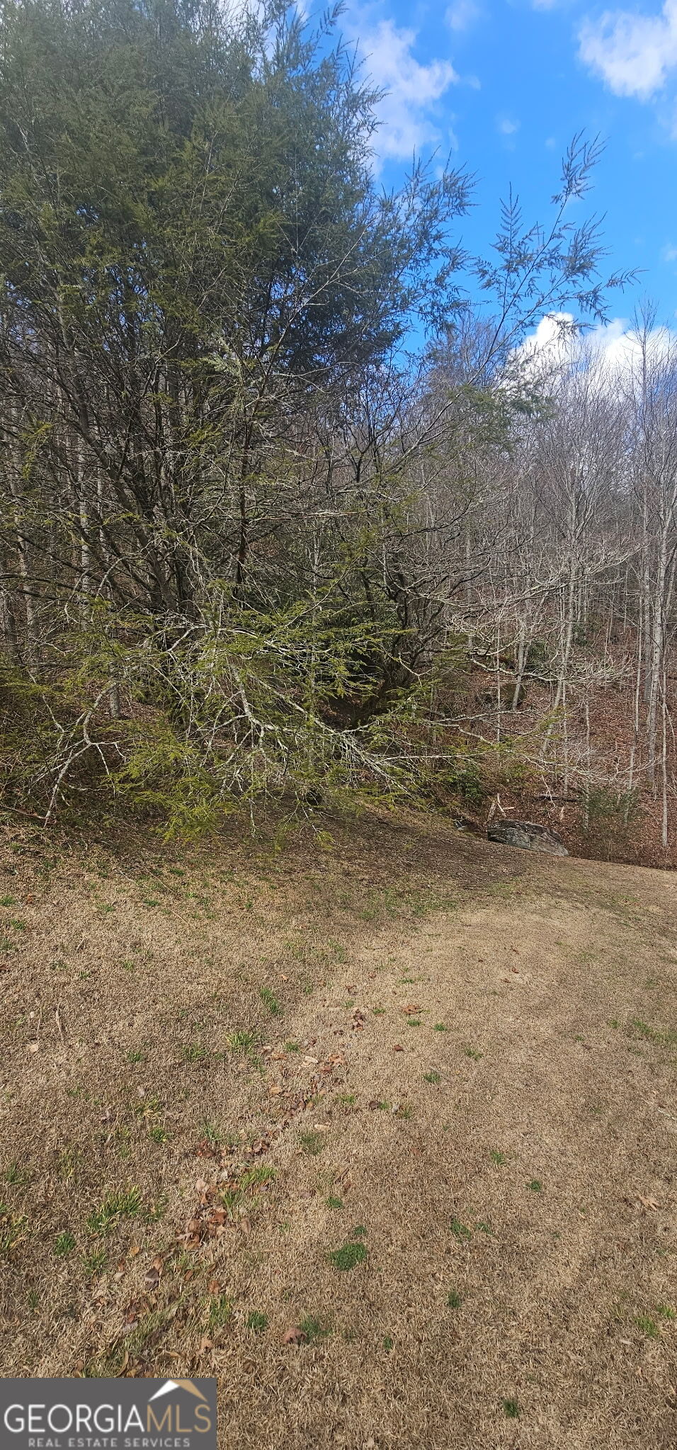 6159 Wolffork Road Rabun Gap, GA 30568 - Photo 13 of 16
