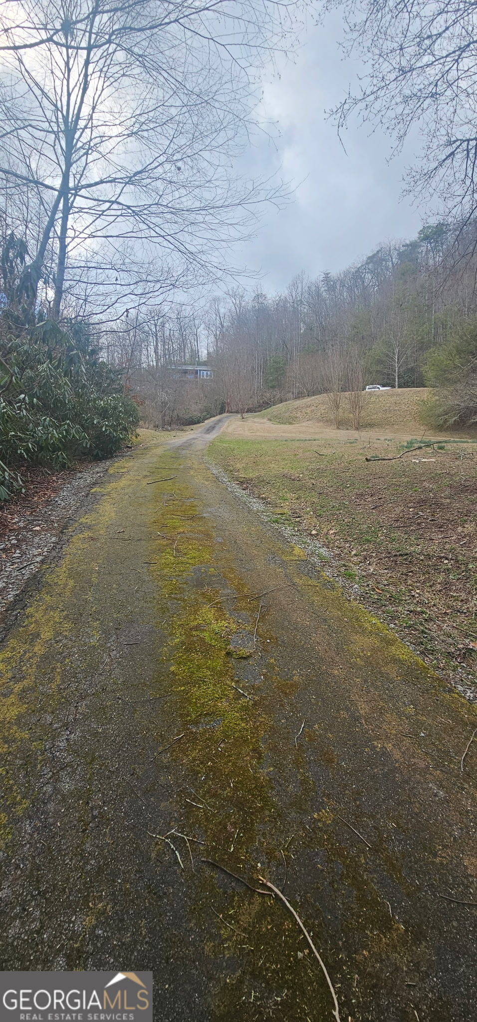 6159 Wolffork Road Rabun Gap, GA 30568 - Photo 14 of 16