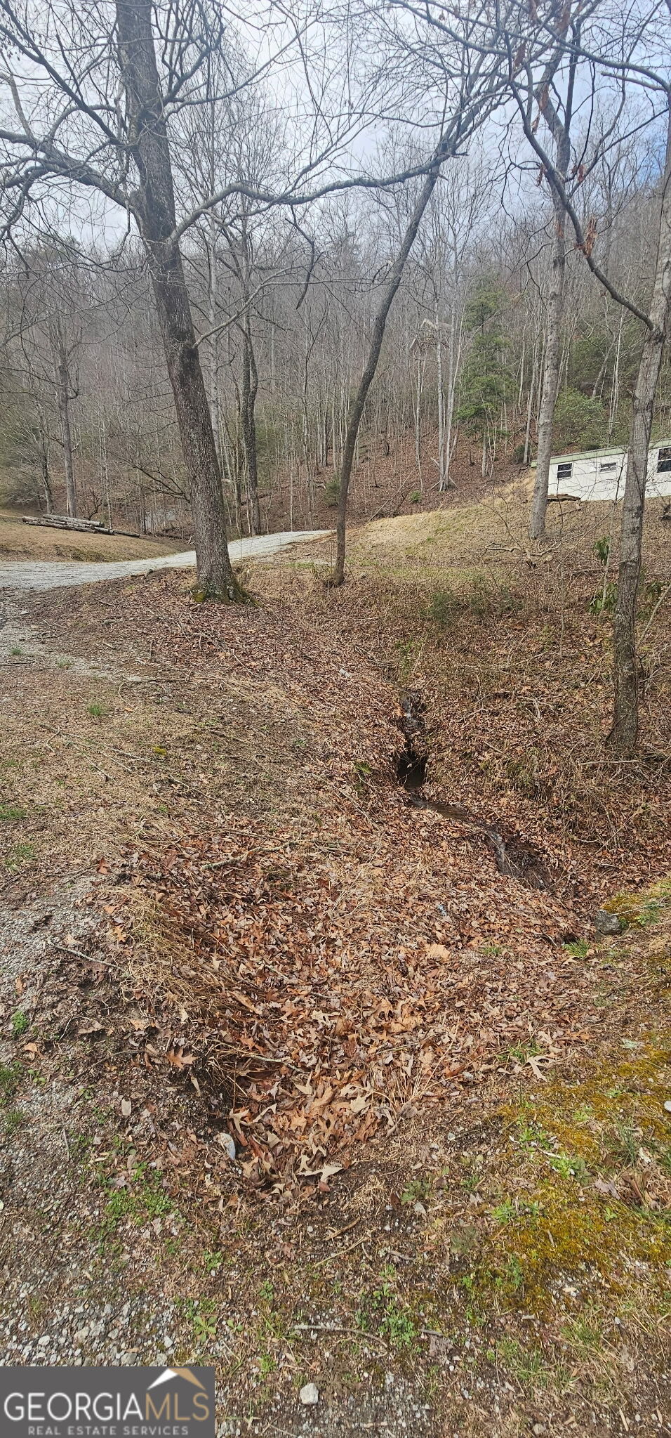 6159 Wolffork Road Rabun Gap, GA 30568 - Photo 5 of 16