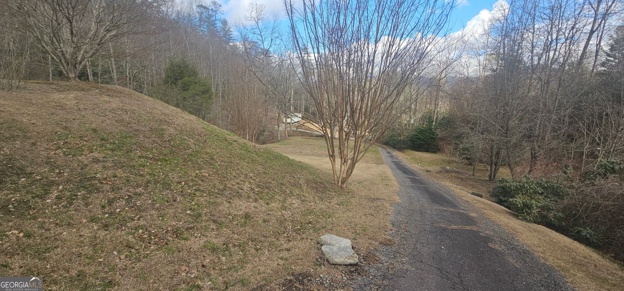 6159 Wolffork Road Rabun Gap, GA 30568 - Photo 7 of 16