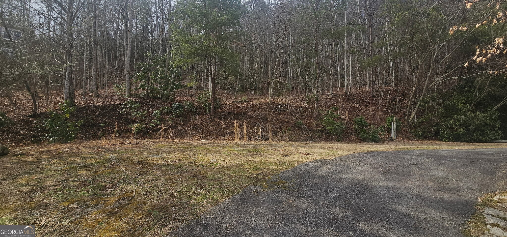 6159 Wolffork Road Rabun Gap, GA 30568 - Photo 8 of 16