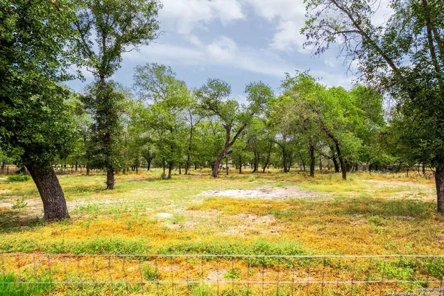 $470,000 | 703 Falling Leaves Drive, Adkins, TX 78101
