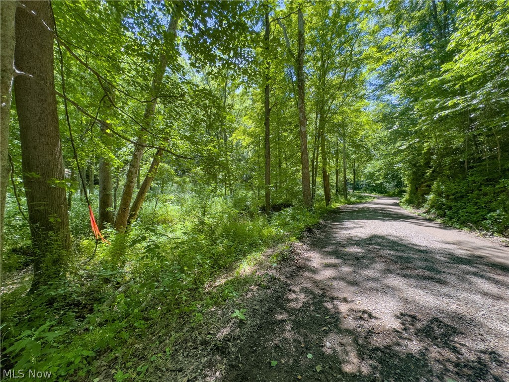0 Long Hollow Road Pomeroy, OH 45769 - Photo 24 of 31