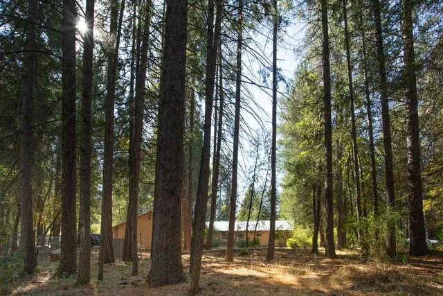 a view of street along with trees