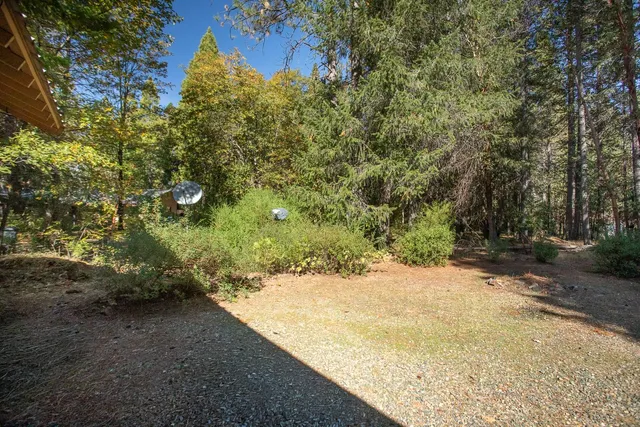 a view of a yard with a tree