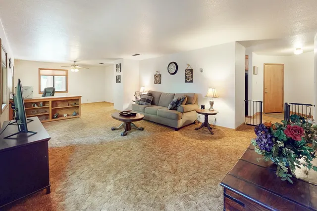 a living room with furniture and a potted plant