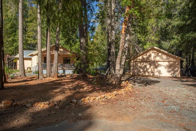 a view of a large tree in front of a house