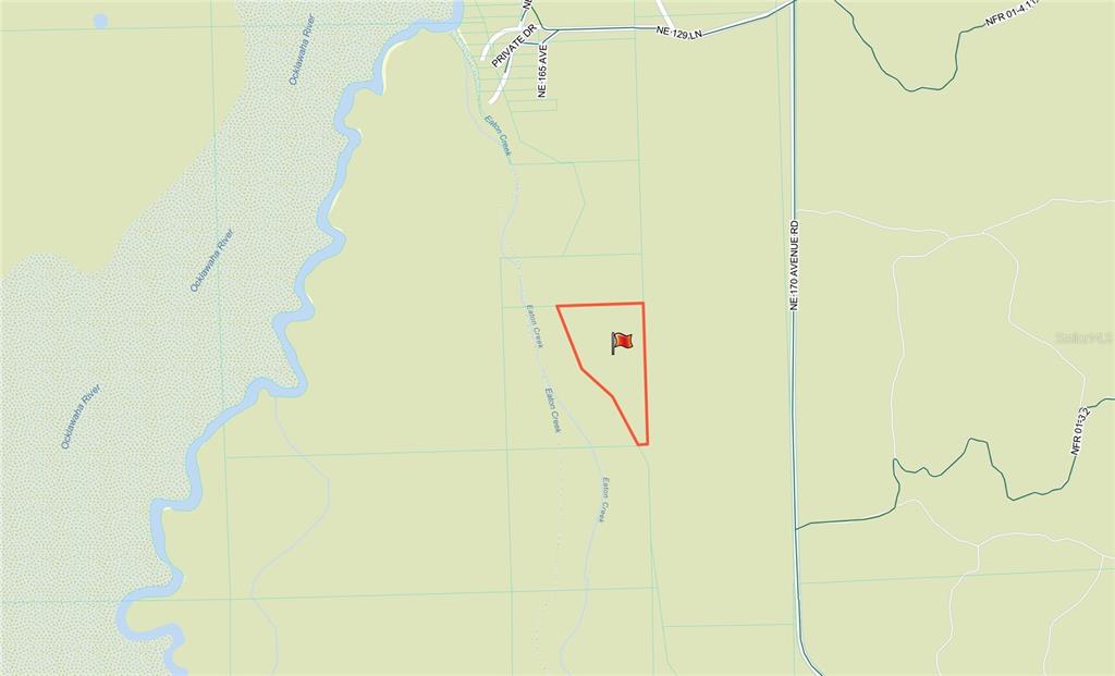 Tbd Northeast 170th Ave Road Fort McCoy, FL 32134 - Photo 7 of 9