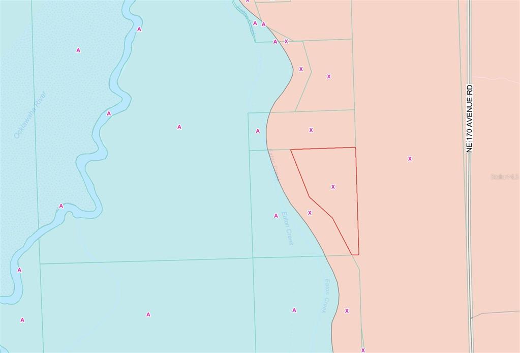 Tbd Northeast 170th Ave Road Fort McCoy, FL 32134 - Photo 8 of 9