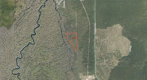 $225,000 | Tbd Northeast 170th Ave Road, Fort McCoy, FL 32134