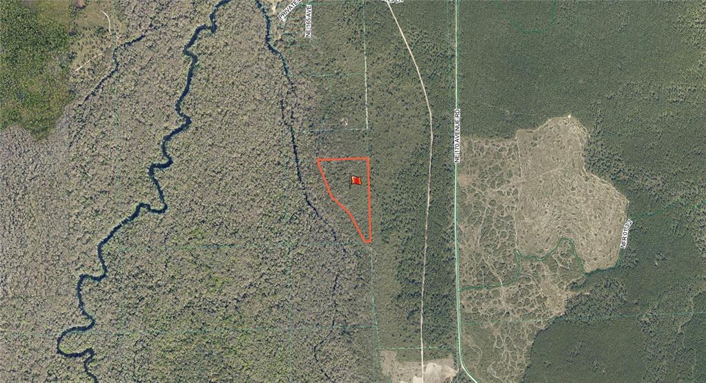 Tbd Northeast 170th Ave Road Fort McCoy, FL 32134 - Photo 9 of 9