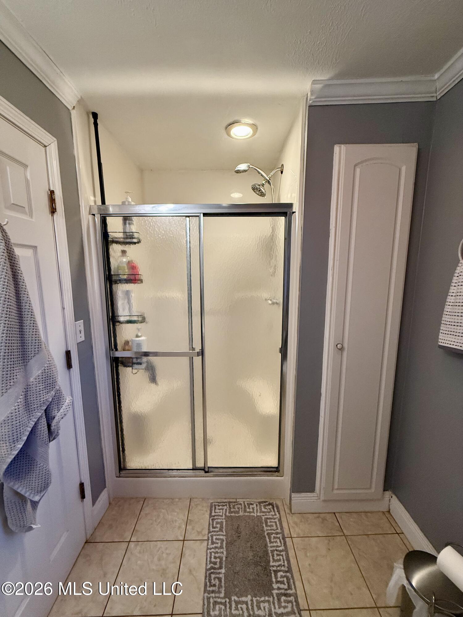 726 Neal Road Forest, MS 39074 - Photo 11 of 26 Primary Bathroom