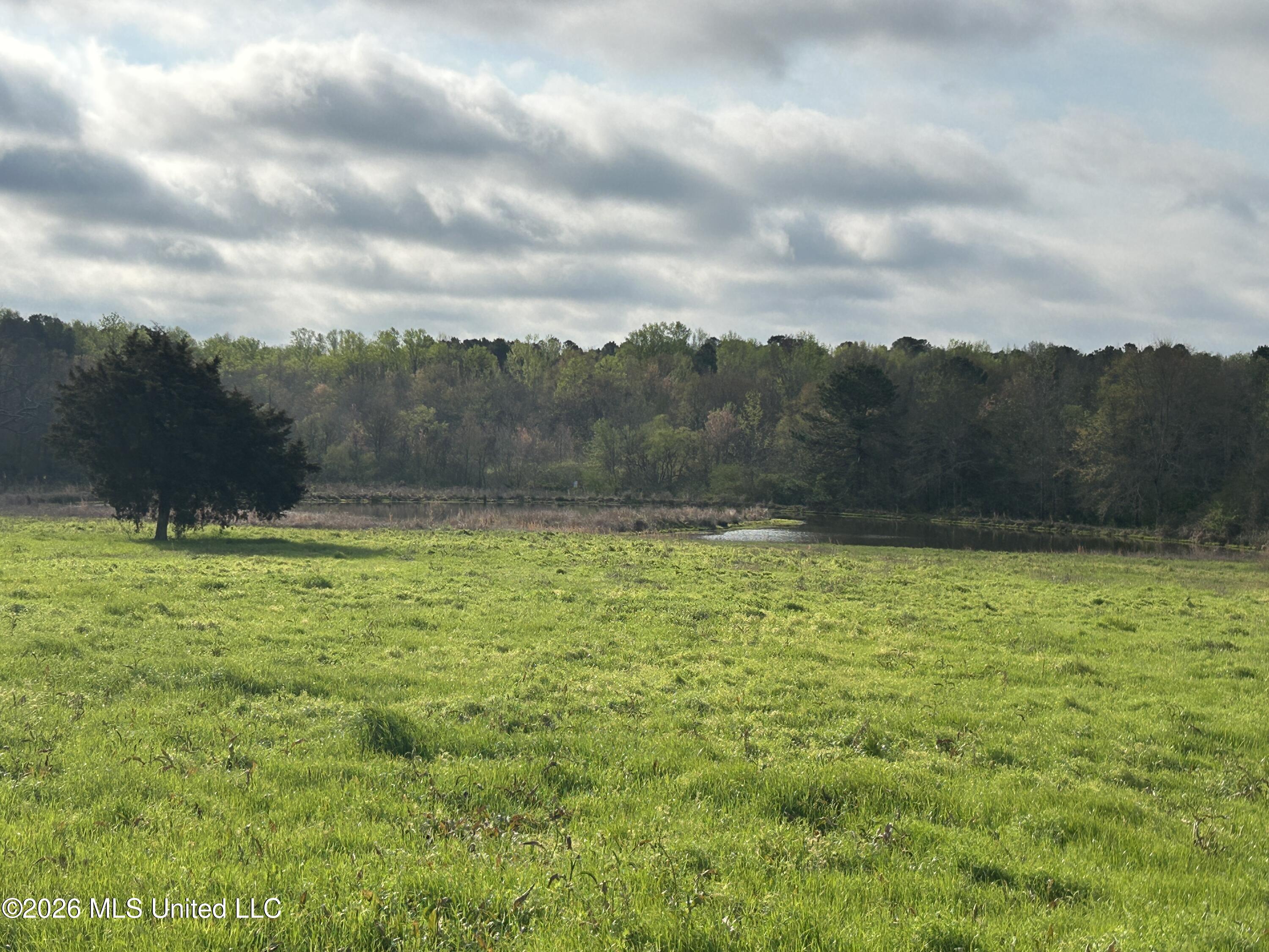 726 Neal Road Forest, MS 39074 - Photo 2 of 26 Pond