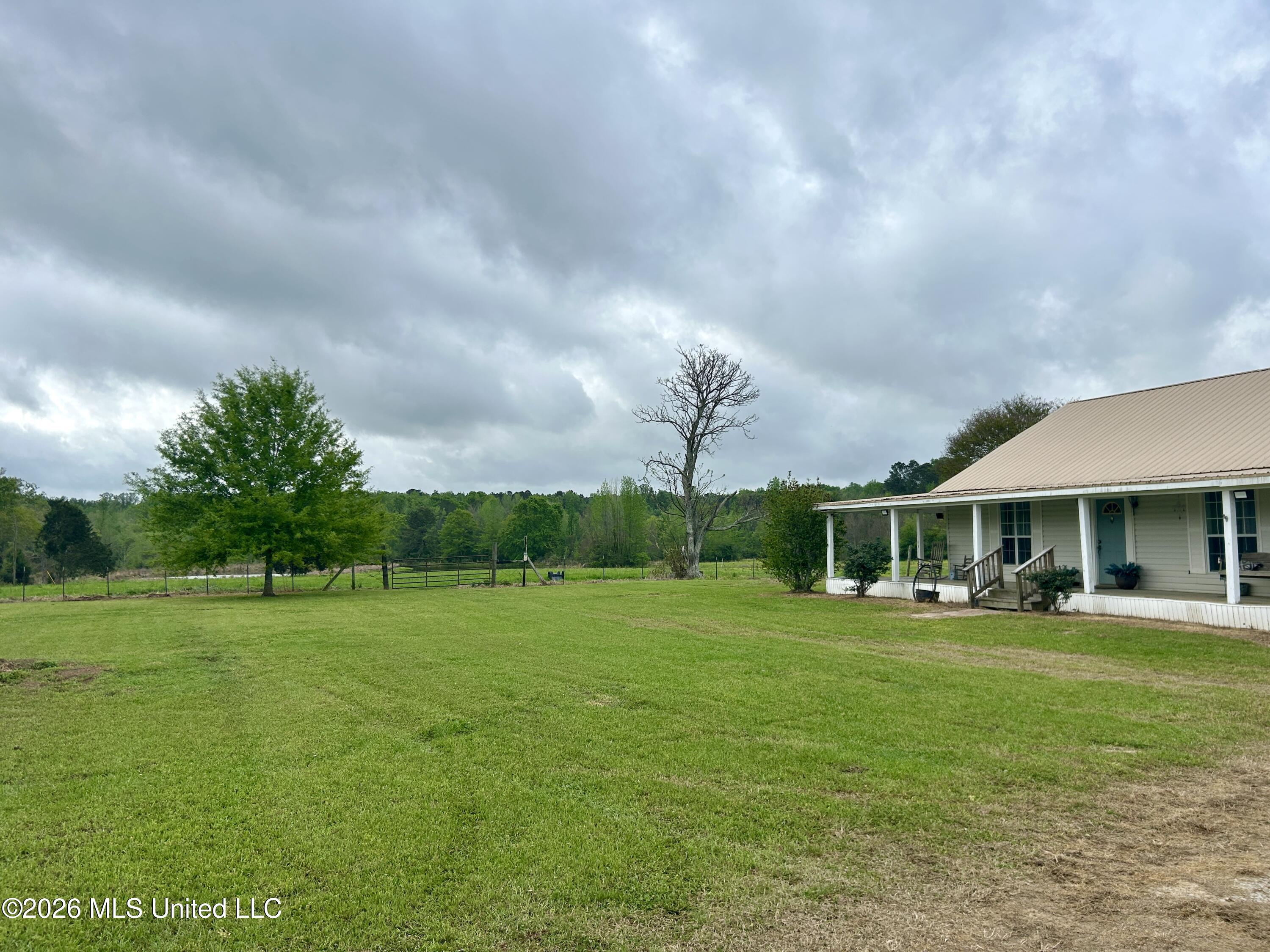 726 Neal Road Forest, MS 39074 - Photo 22 of 26 Yard