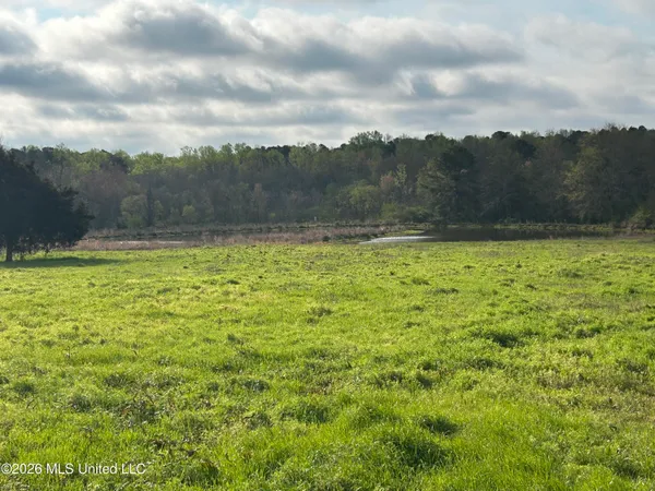 $228,000 | 726 Neal Road, Forest, MS 39074