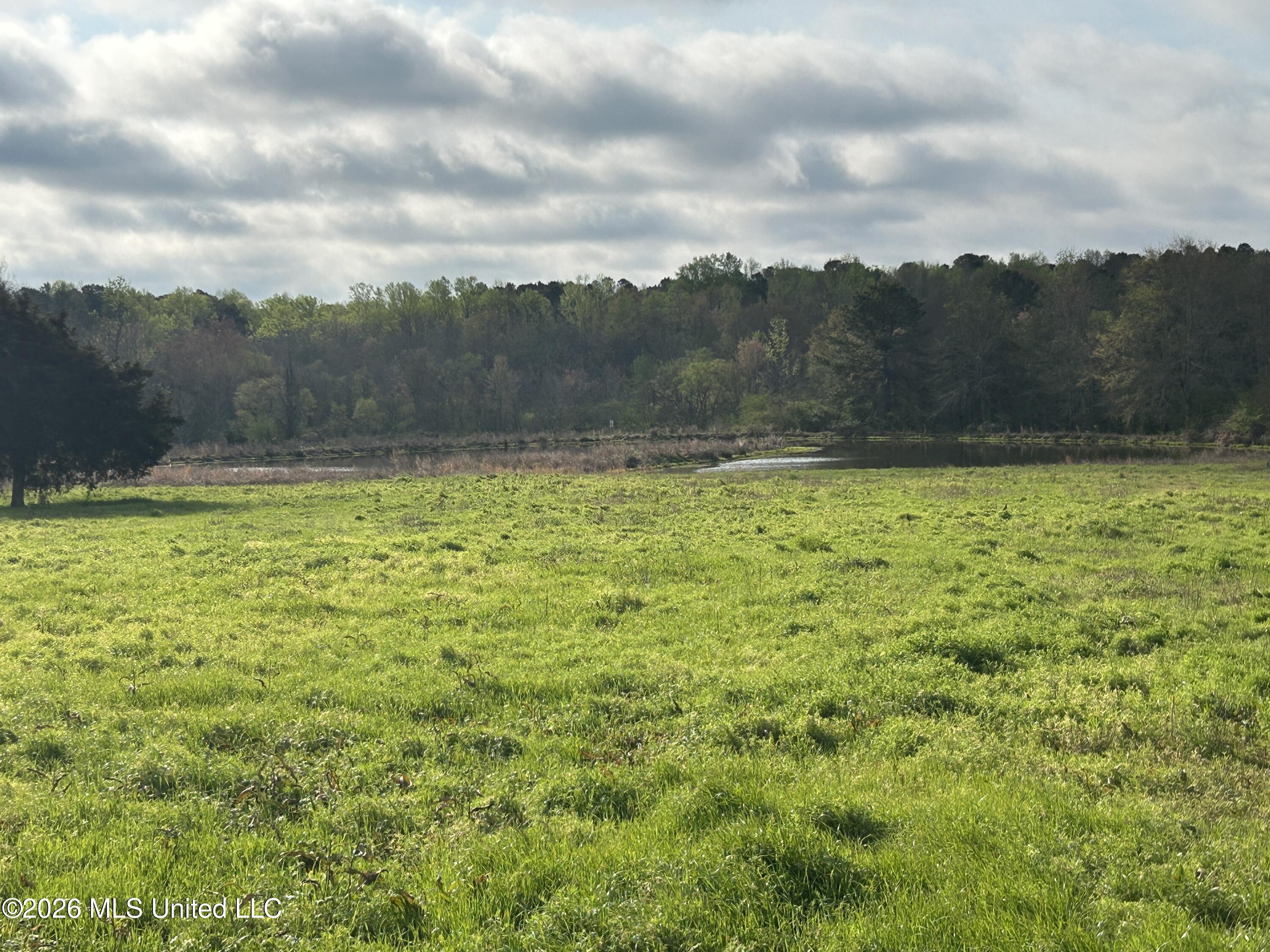 726 Neal Road Forest, MS 39074 - Photo 24 of 26 Pasture