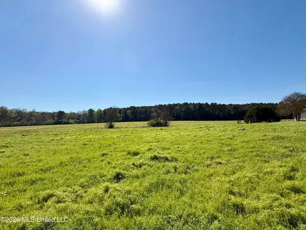 $228,000 | 726 Neal Road, Forest, MS 39074