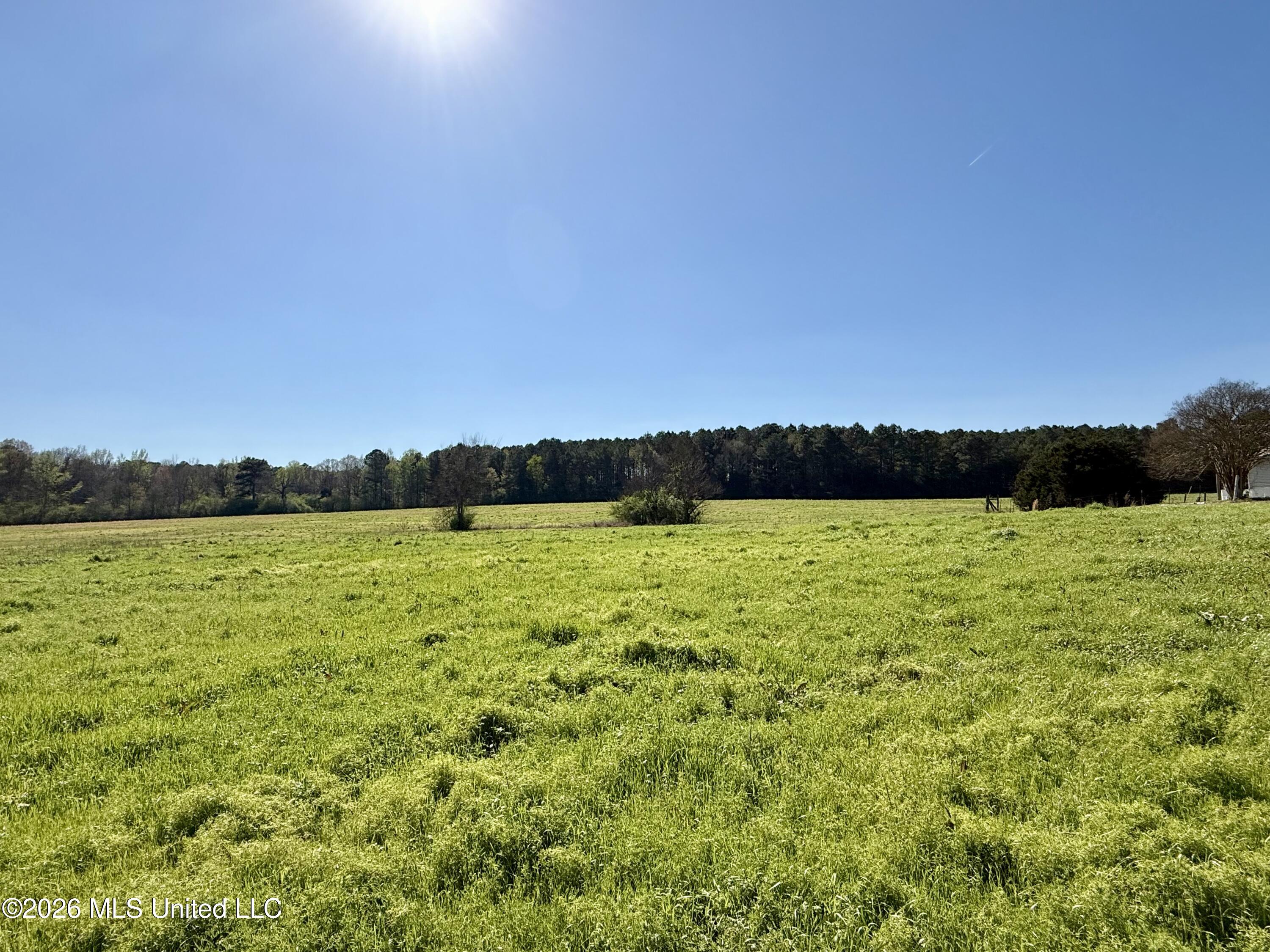 726 Neal Road Forest, MS 39074 - Photo 25 of 26 Pasture