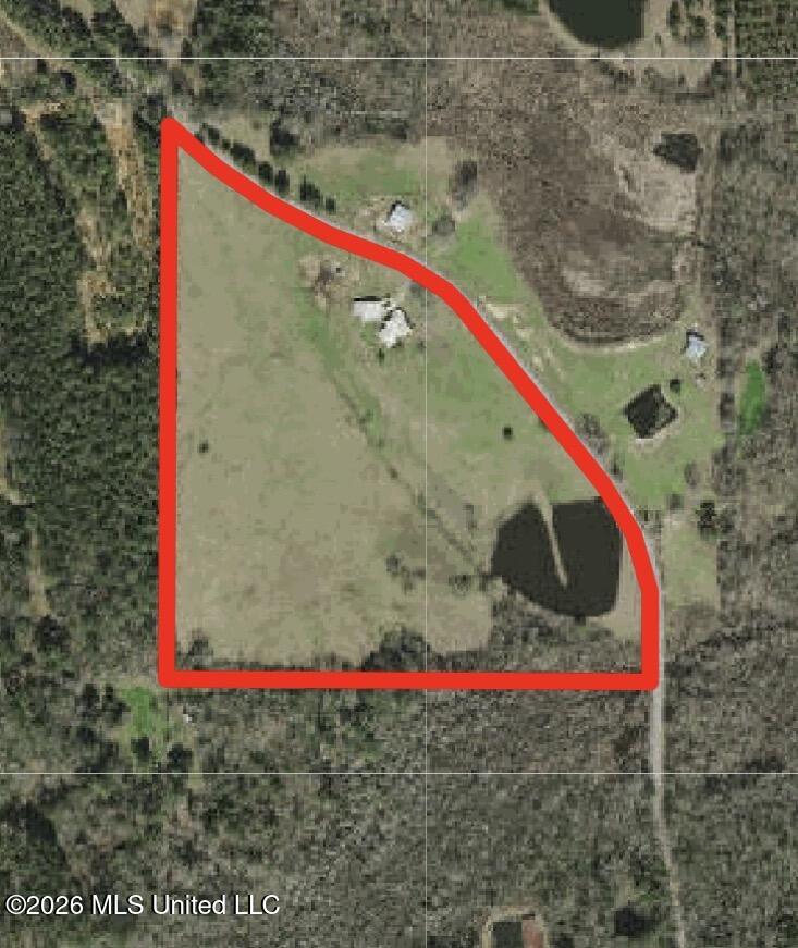 726 Neal Road Forest, MS 39074 - Photo 26 of 26 Aerial