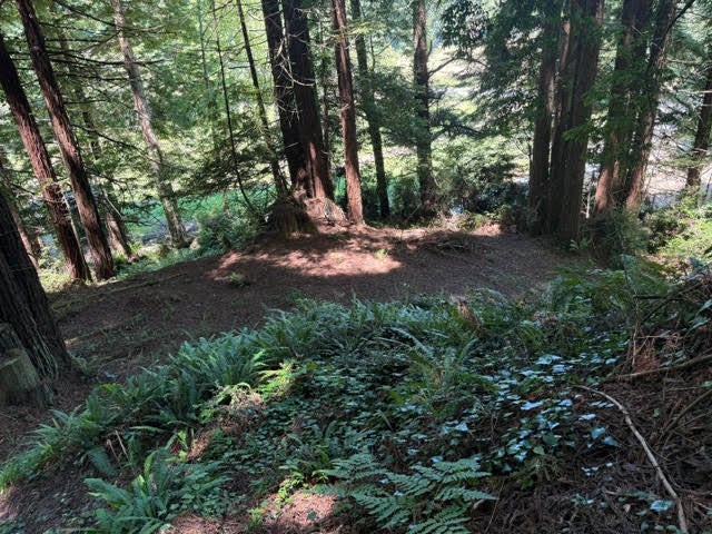 0 Spears Road Eureka, CA 95503 - Photo 12 of 17 Gallery Image 12