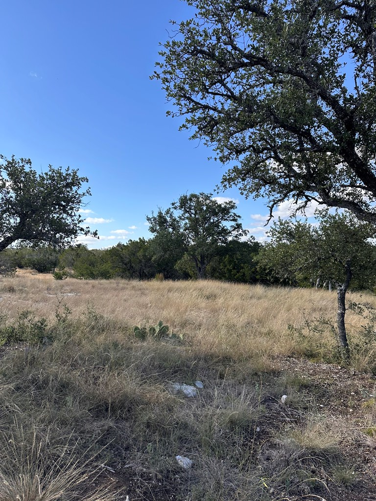Lot 5 North Other Junction Junction, TX 76849 - Photo 19 of 29 a view of lake with green space