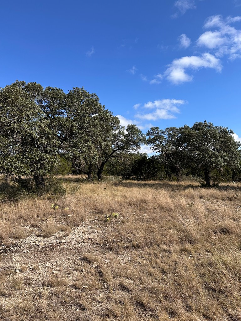 Lot 5 North Other Junction Junction, TX 76849 - Photo 20 of 29 a view of outdoor space and mountain view
