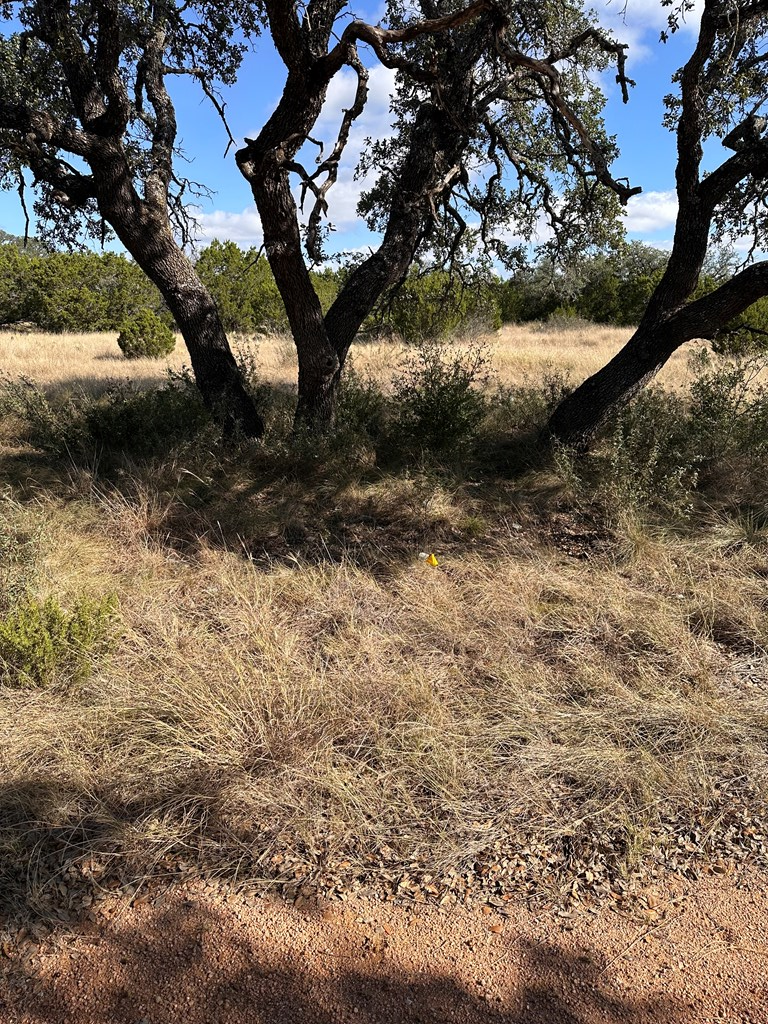 Lot 5 North Other Junction Junction, TX 76849 - Photo 22 of 29 a view of a tree in a yard