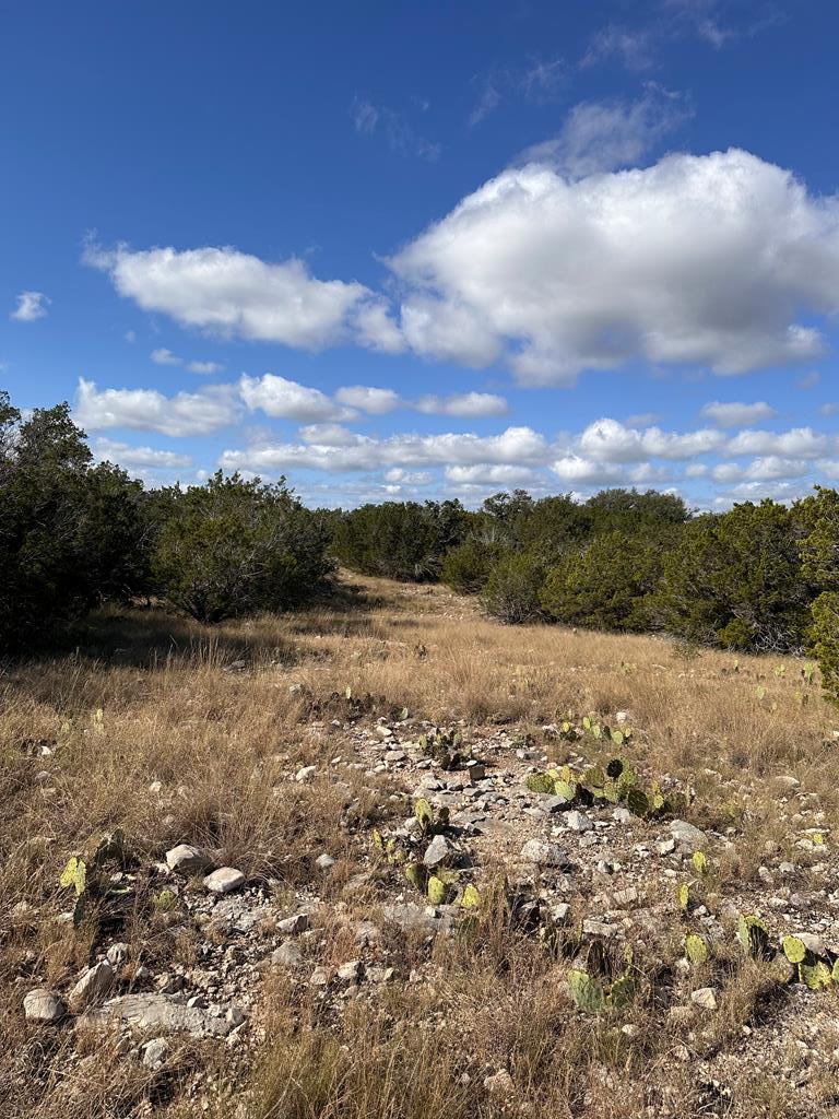 Lot 5 North Other Junction Junction, TX 76849 - Photo 28 of 29 a view of lake with mountain