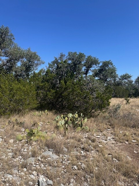 Lot 5 North Other Junction Junction, TX 76849 - Photo 3 of 29