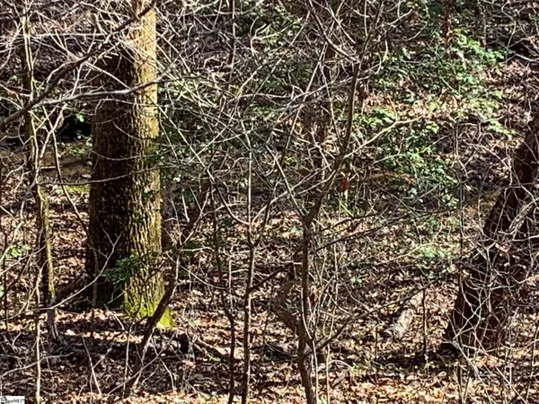 $75,000 | 157 Sawmill Road, Marietta, SC 29661