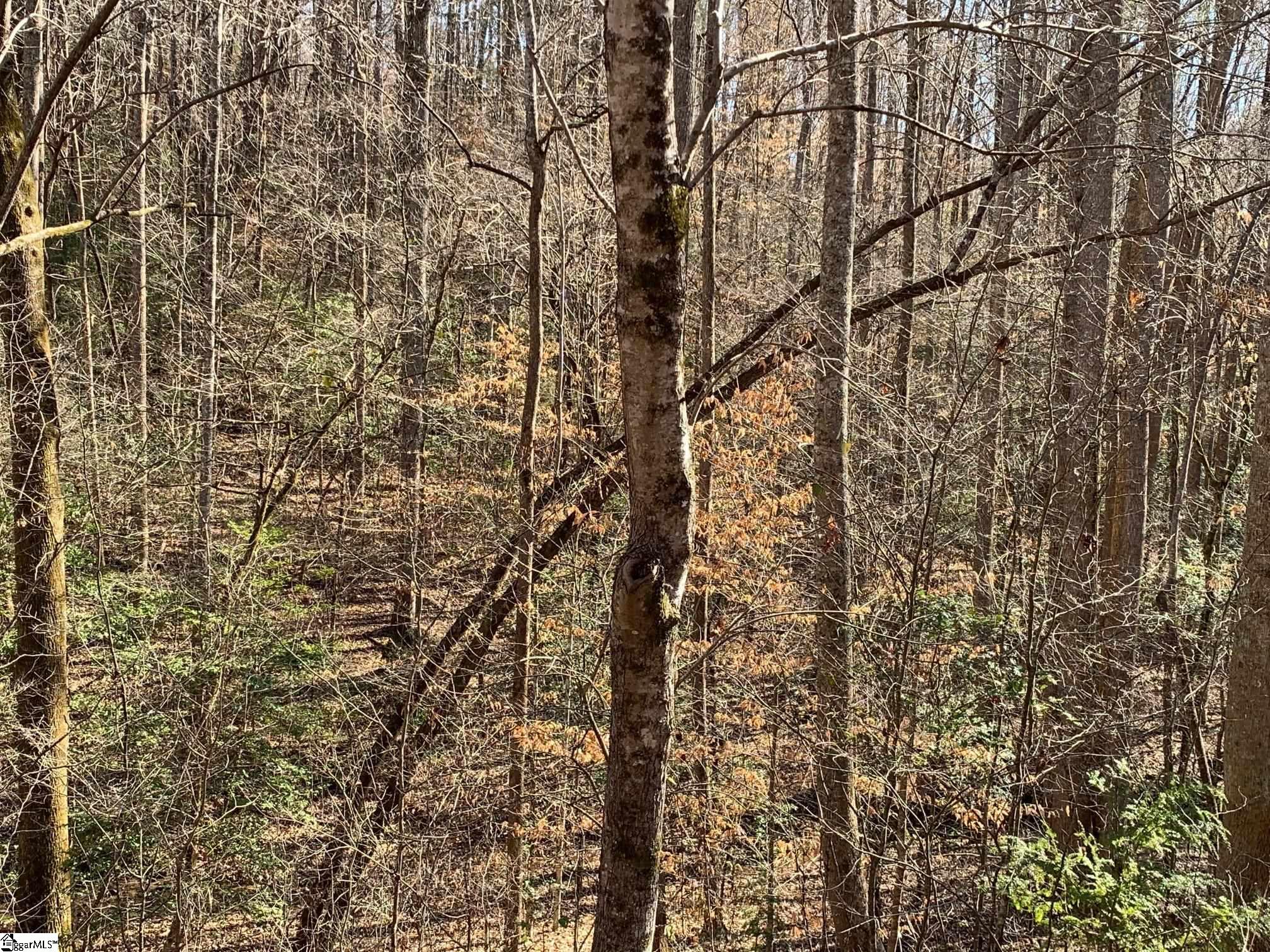 157 Sawmill Road Marietta, SC 29661 - Photo 12 of 12