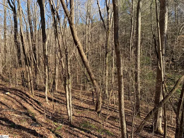 $75,000 | 157 Sawmill Road, Marietta, SC 29661