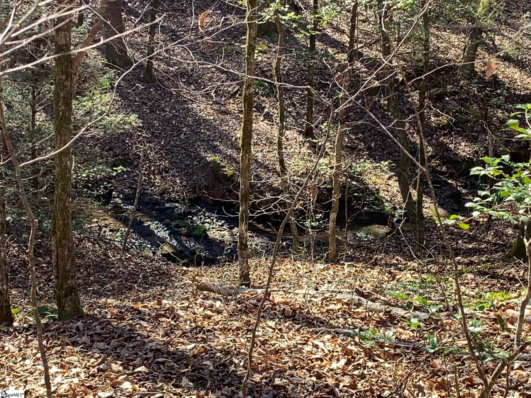 157 Sawmill Road Marietta, SC 29661 - Photo 3 of 12