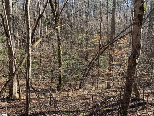 $75,000 | 157 Sawmill Road, Marietta, SC 29661