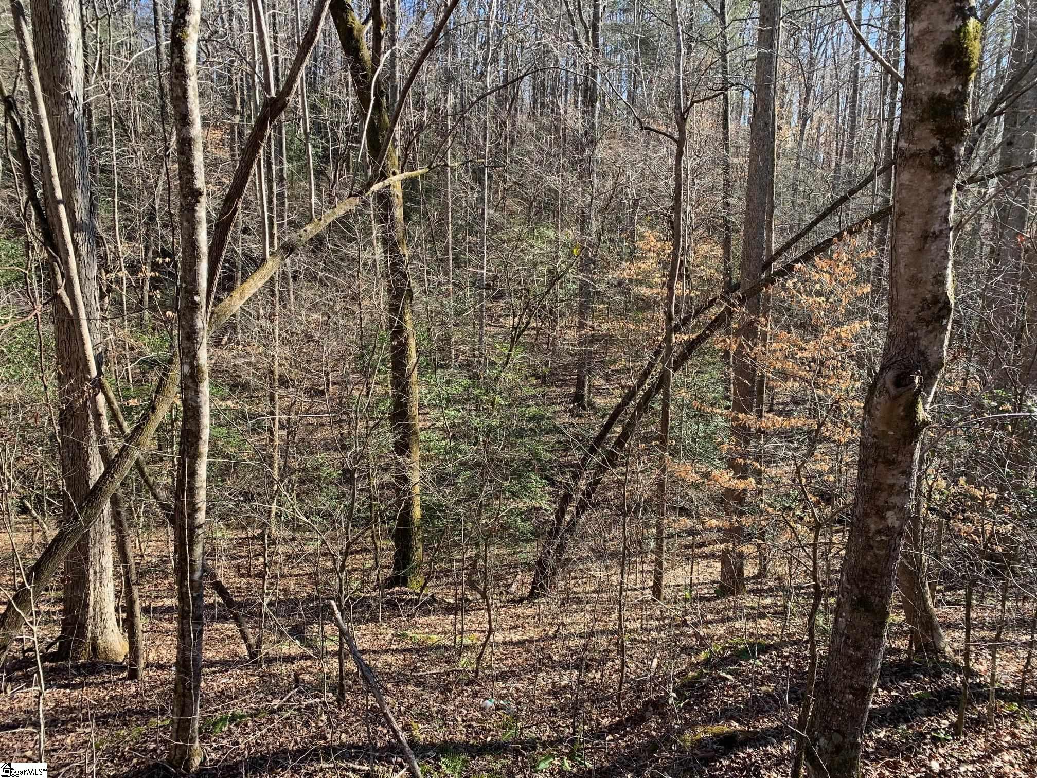 157 Sawmill Road Marietta, SC 29661 - Photo 7 of 12