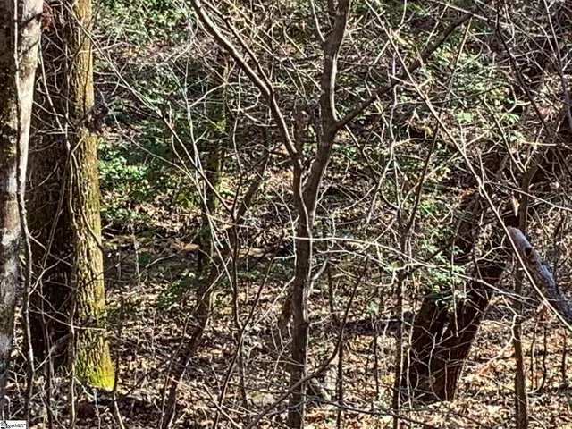 $75,000 | 157 Sawmill Road, Marietta, SC 29661