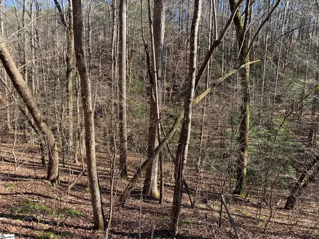 $75,000 | 157 Sawmill Road, Marietta, SC 29661