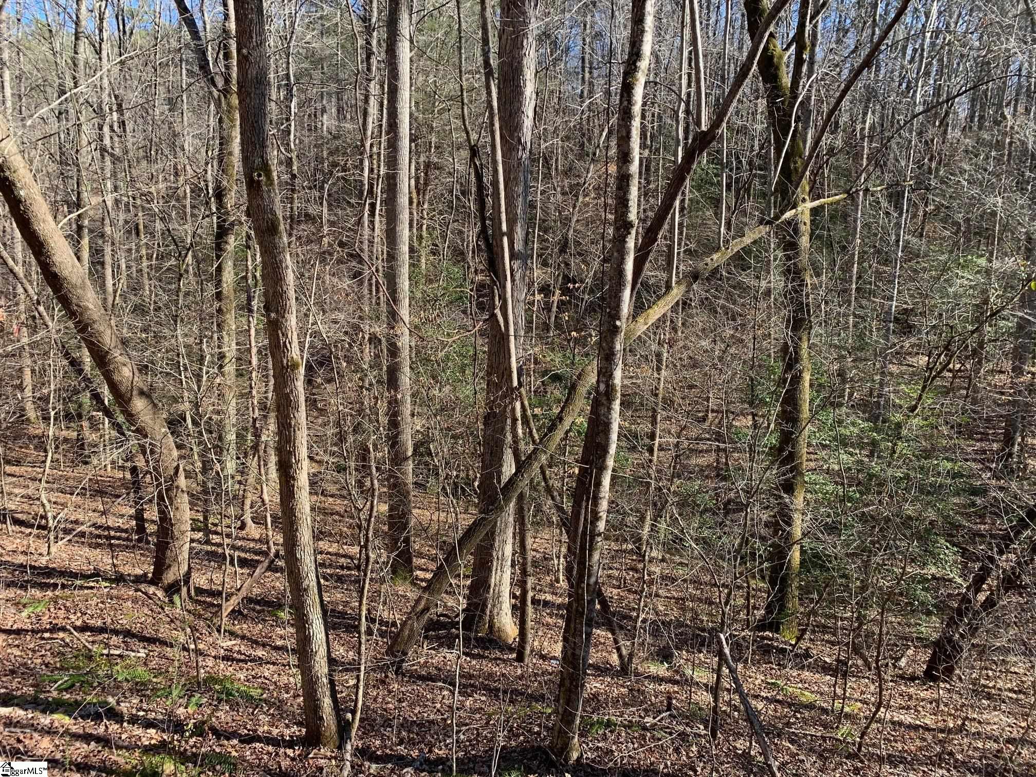 157 Sawmill Road Marietta, SC 29661 - Photo 9 of 12