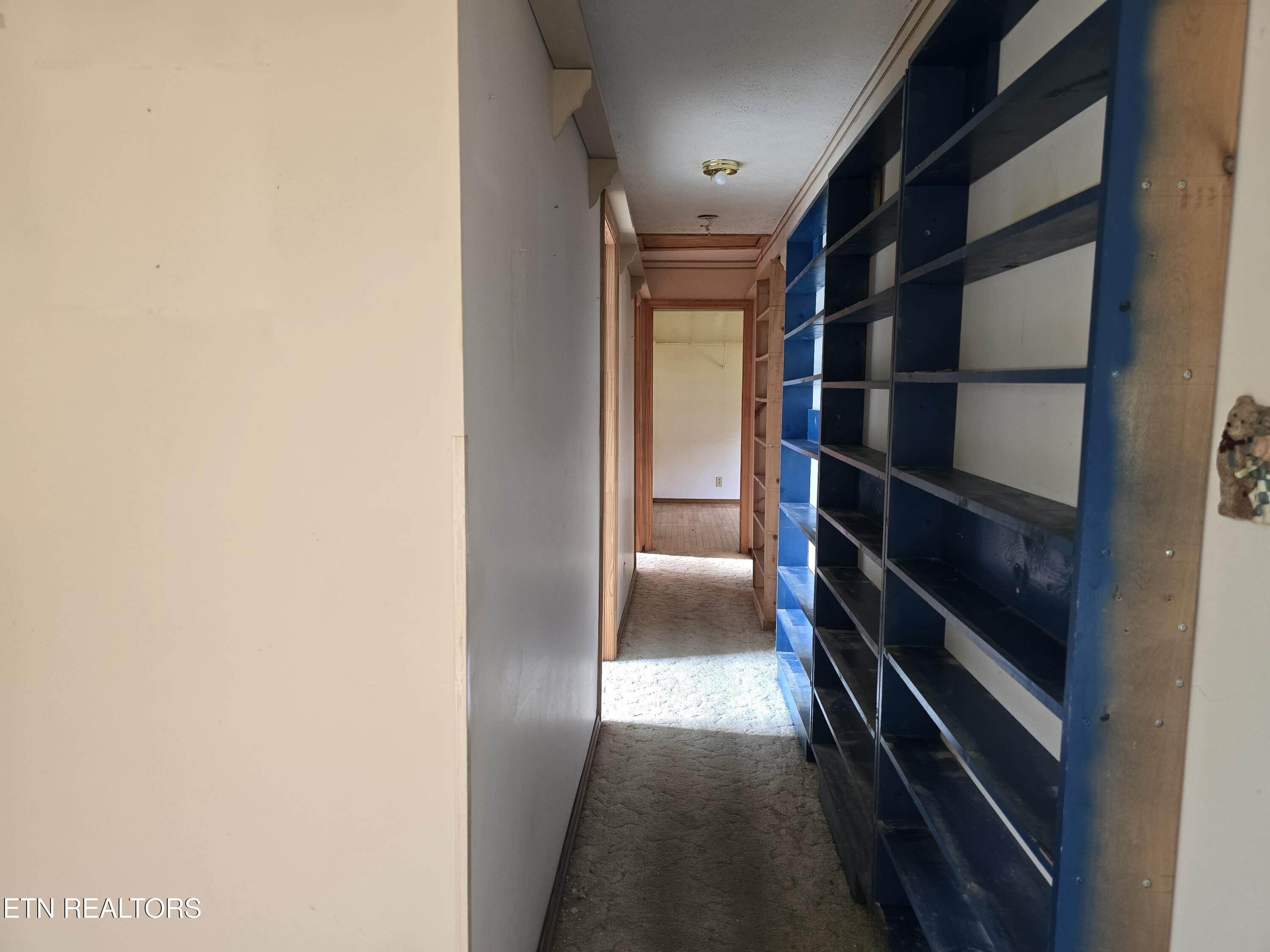 404 Cedar Fork Road Tazewell, TN 37879 - Photo 12 of 24 20250805_191424