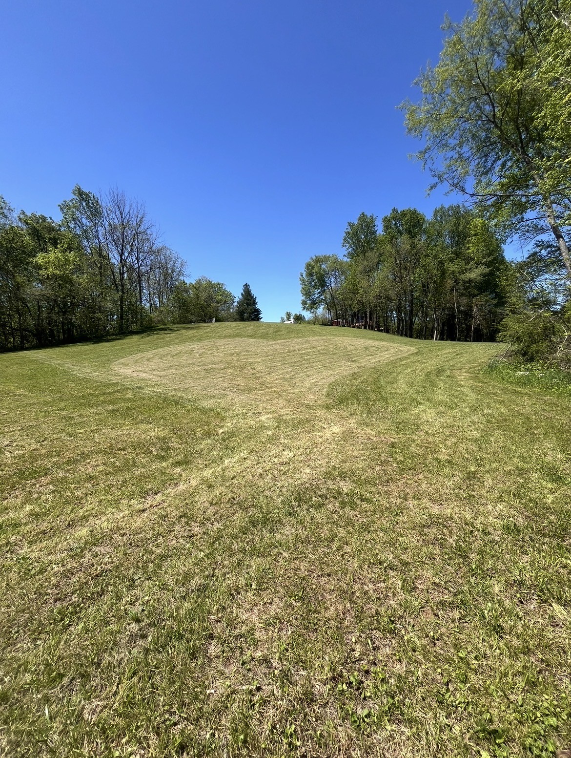 145 Gamble Street Doyle, TN 38559 - Photo 14 of 26