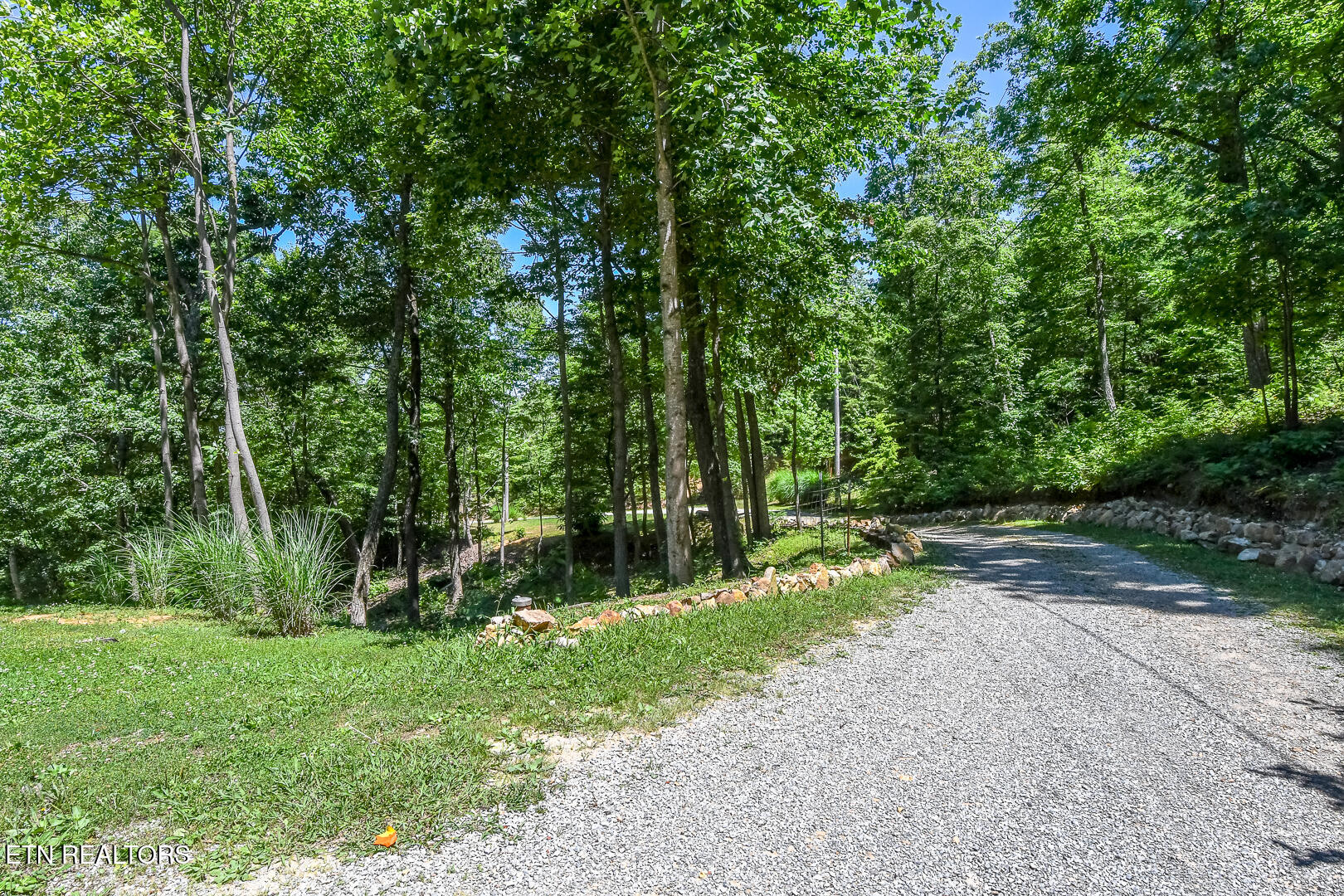 1042 Old Oliver Road Walland, TN 37886 - Photo 47 of 51 DSC_6781