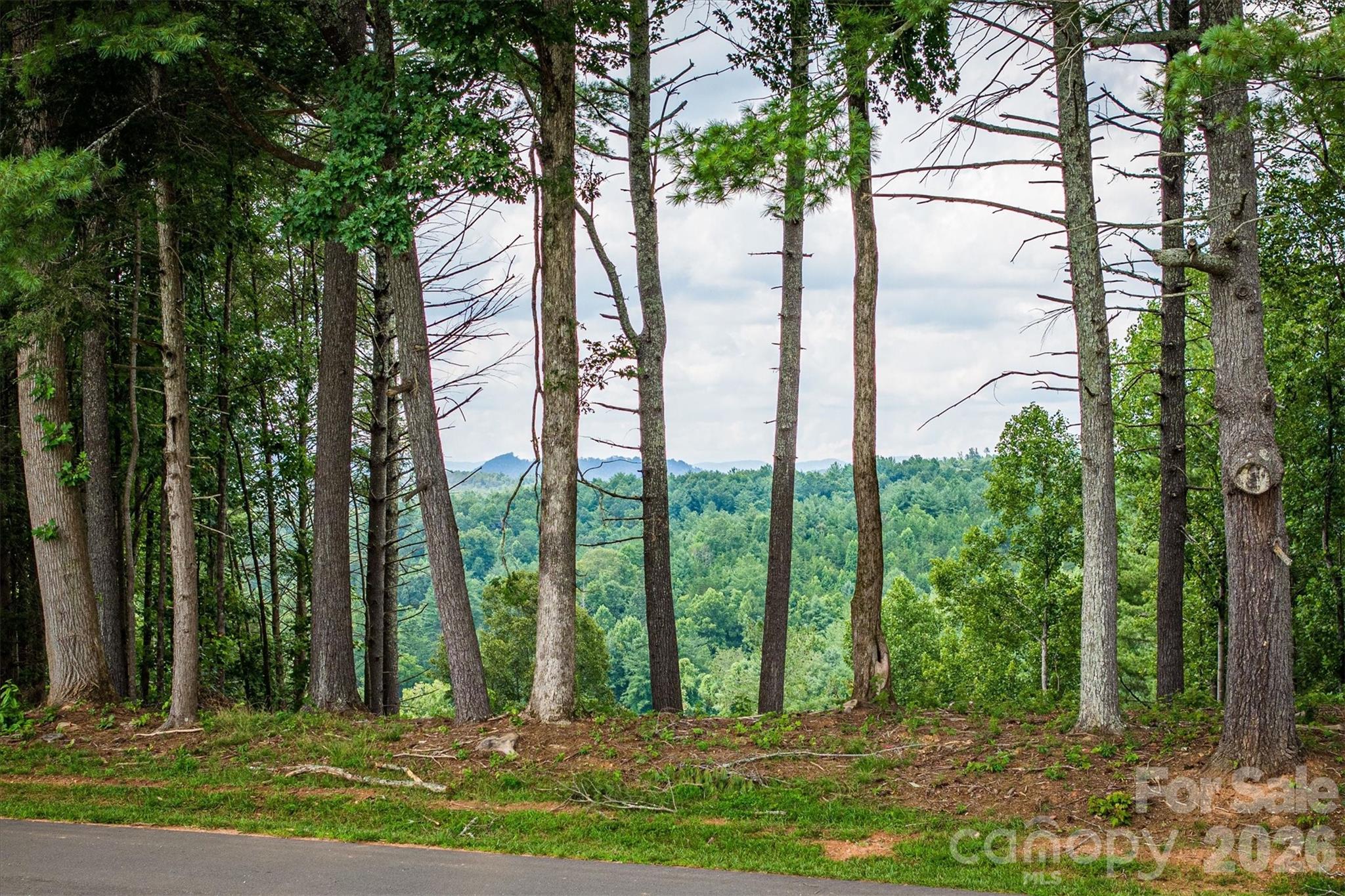 2070 Thoroughbred Way, Unit G18 Apex, NC 27523 - Photo 7 of 11 a view of a yard with plants and trees