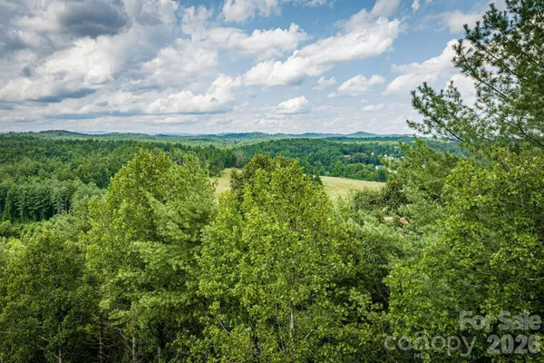 a view of a bunch of trees